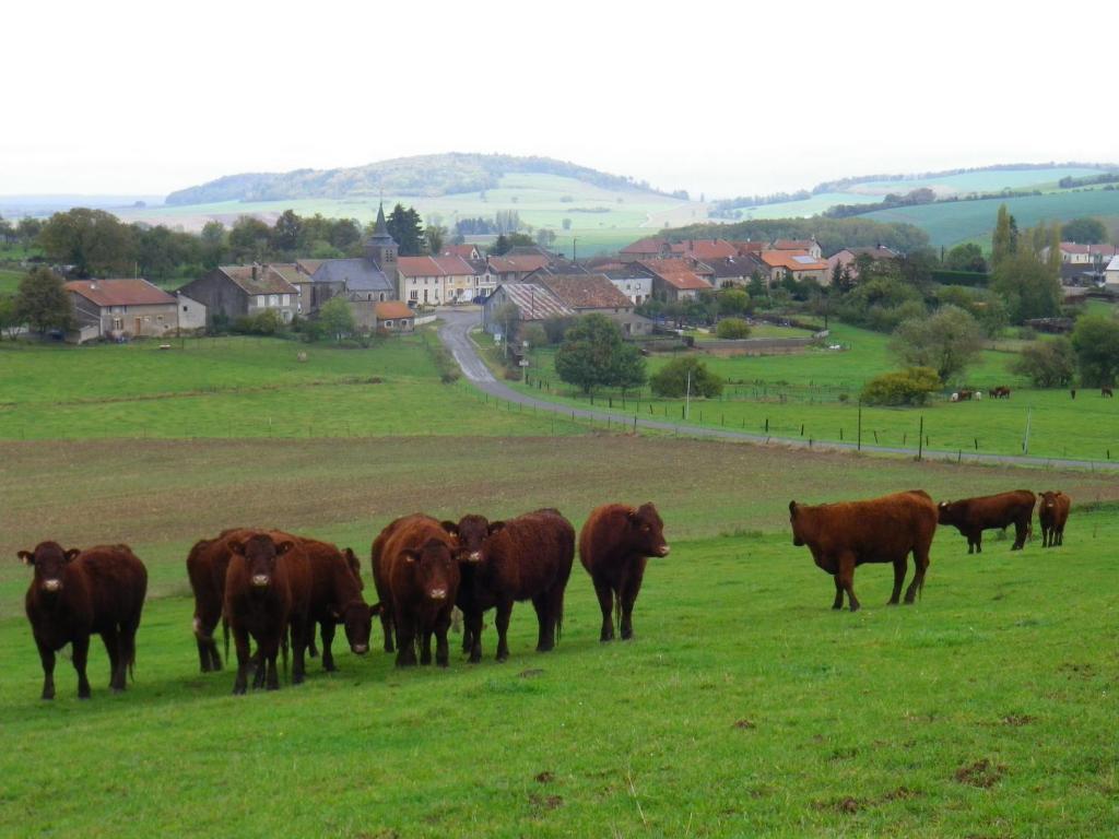 Chambre D'Hotes La Ferme Du Vallon Moirey Exteriör bild